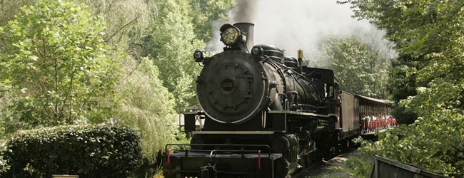 View of Dollywood Express Steam Engine Train Roaring down the tracks in Dollywood wide