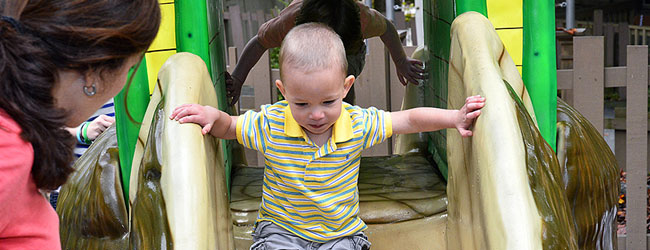 A kid going down a slide at Granny's Garden for little tykes at Dollywood wide