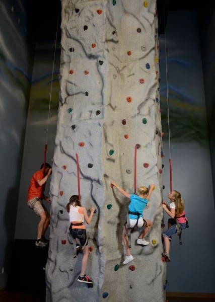 Conquer your fears and climb this wall of Mount Wild Adventure Forest