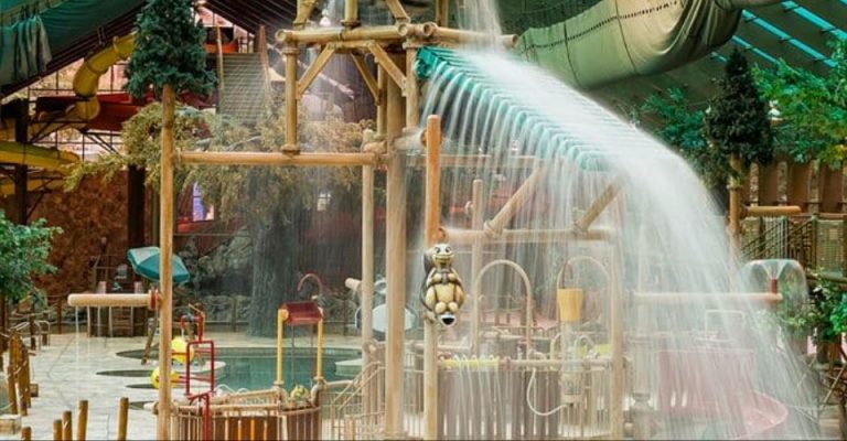 Wild Bear Falls Gatlinburg Tn Indoor Water Park 