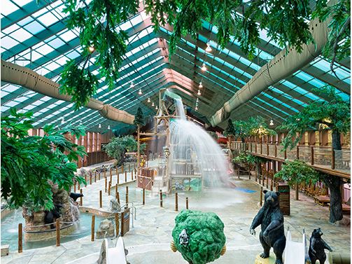 Toddler Slides at the Indoor Water Park Wild Bear Falls